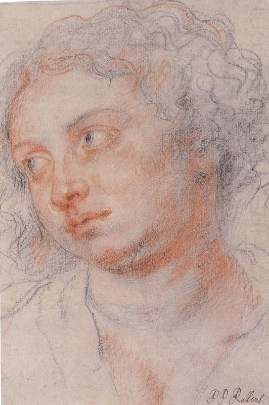 Portrait of Younger woman, Peter Paul Rubens